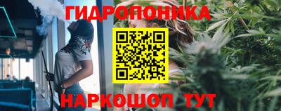 спиды Краснодар