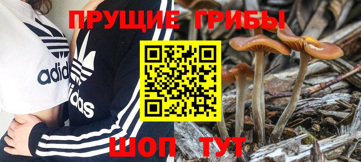 Галлюциногенные грибы мицелий Южноуральск
